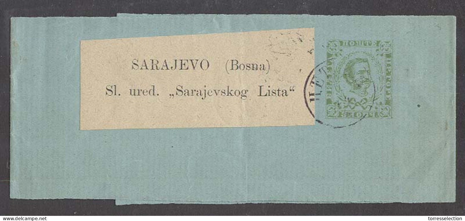 MONTENEGRO. 1895 (14 June). Cettigne - Sarajevo, Bosnia (17 June). 3n Green Stat Wrapper Backstamped. Fine Used. - Montenegro