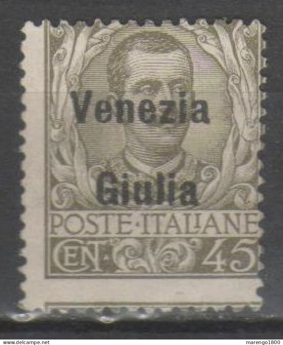 Venezia Giulia 1918 - Effigie 45 C. ( * ) - Venezia Giuliana