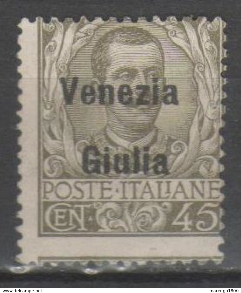 Venezia Giulia 1918 - Effigie 45 C. ( * ) - Vénétie Julienne