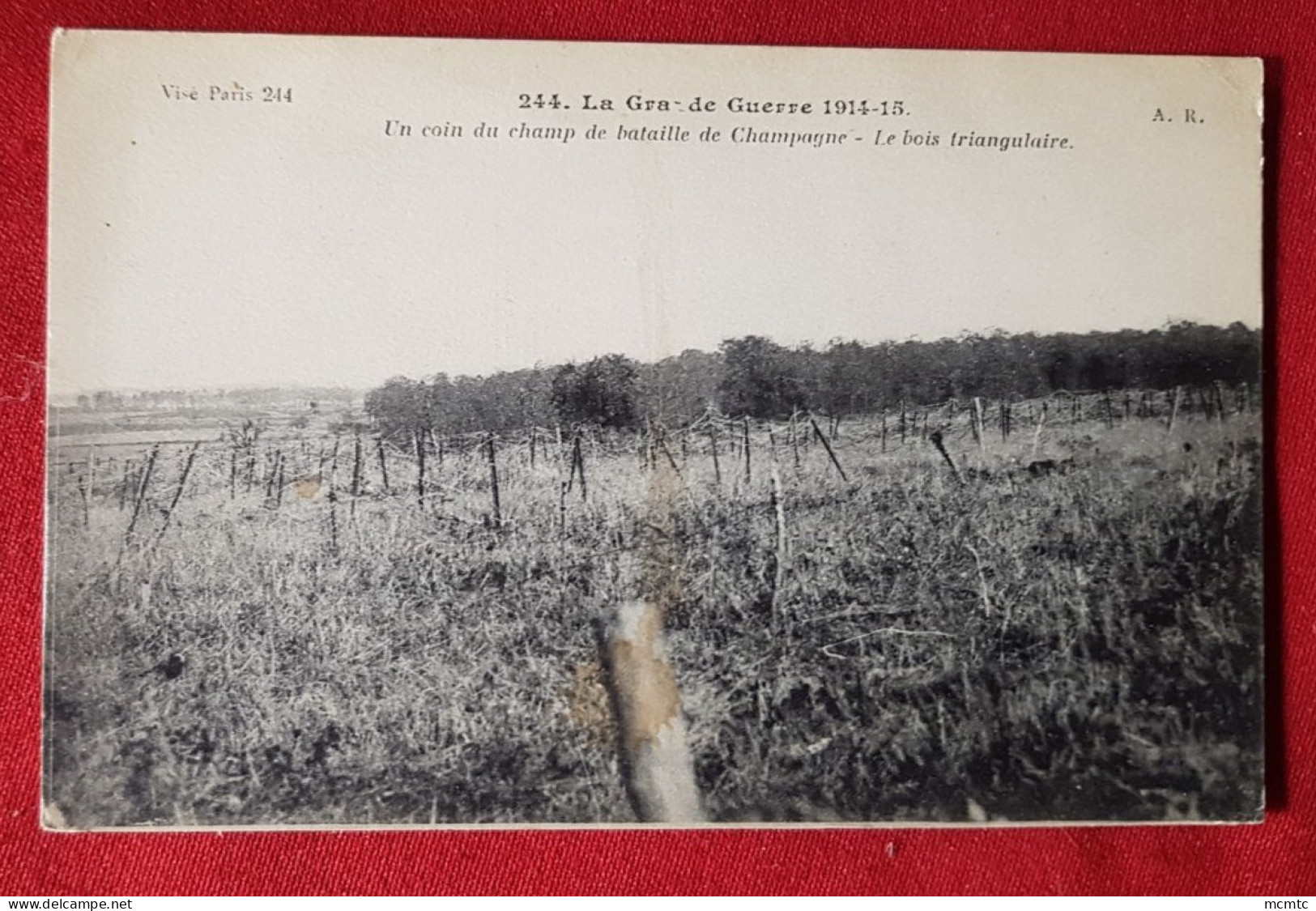 CPA - La Grande Guerre 1914-15 - Un Coin Du Champ De Bataille De Champagne - Le Bois Triangulaire - Champagne-Ardenne