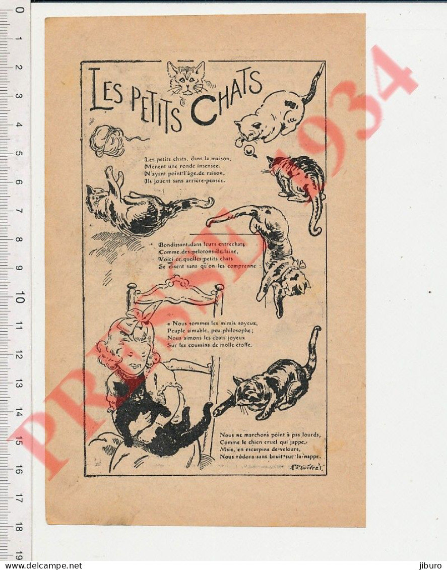 4 Vues 1934 Les Petits Chats Humour Chat Animal Poésie Chat Qui Joue Avec Un Bouchon - Ohne Zuordnung