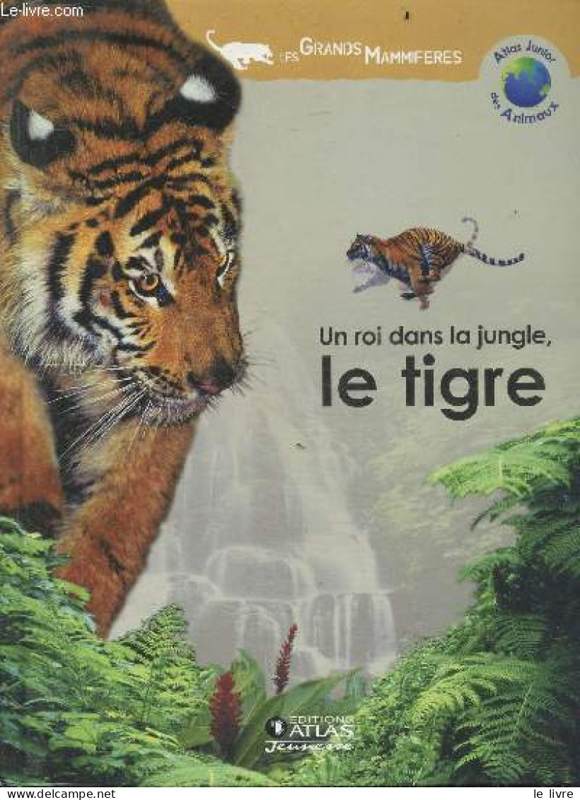 Un Roi Dans La Jungle, Le Tigre - Les Grands Mammiferes - COLLECTIF - 2005 - Dieren