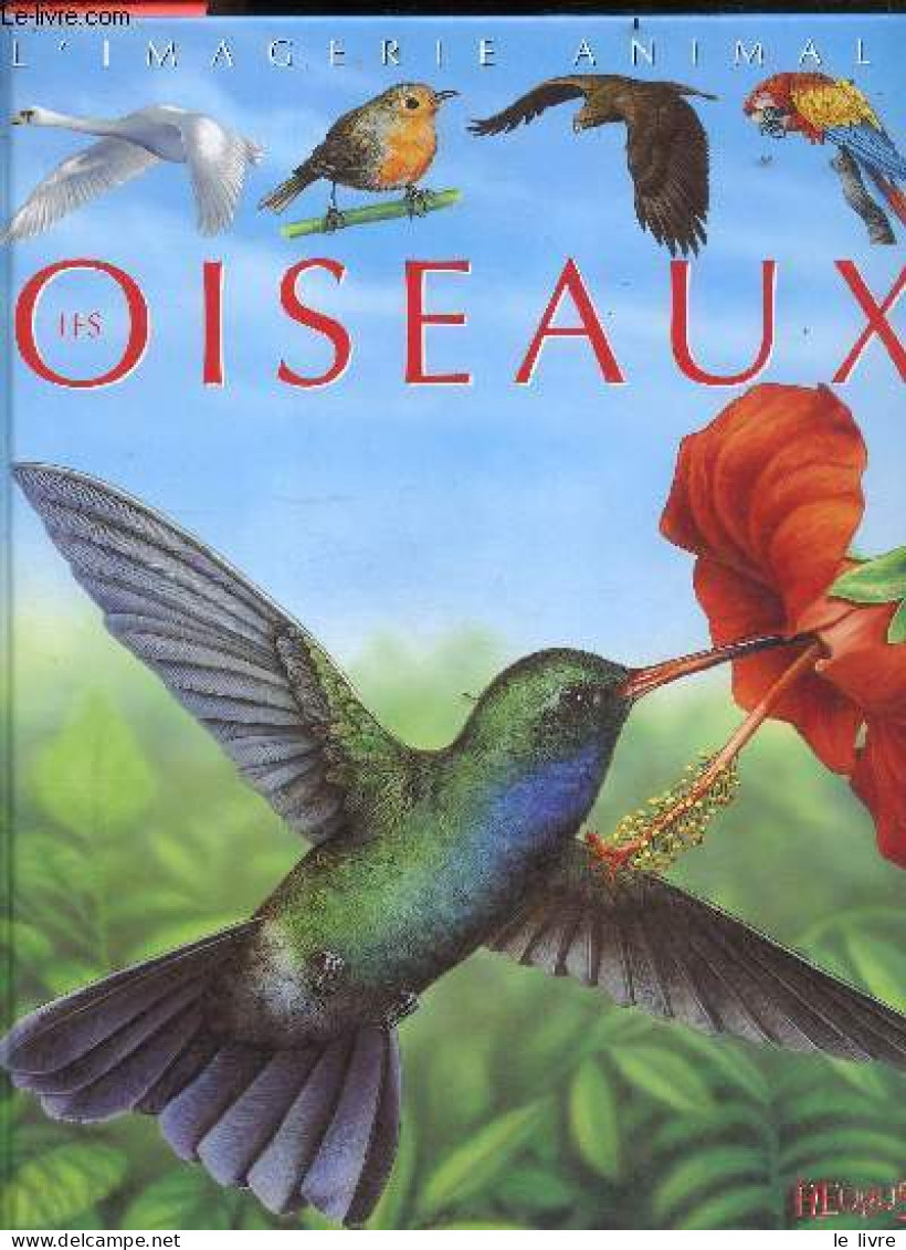 L'imagerie Animale : Les Oiseaux - COLLECTIF - Beaumont Emilie - 2004 - Tiere