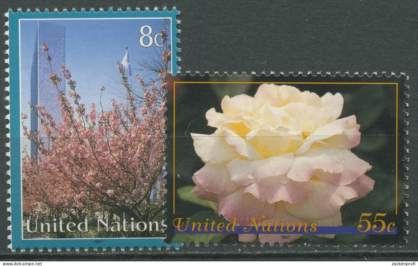 UNO New York 1997 Pflanzen Kirschblüten Rose 730/31 Postfrisch - Nuevos