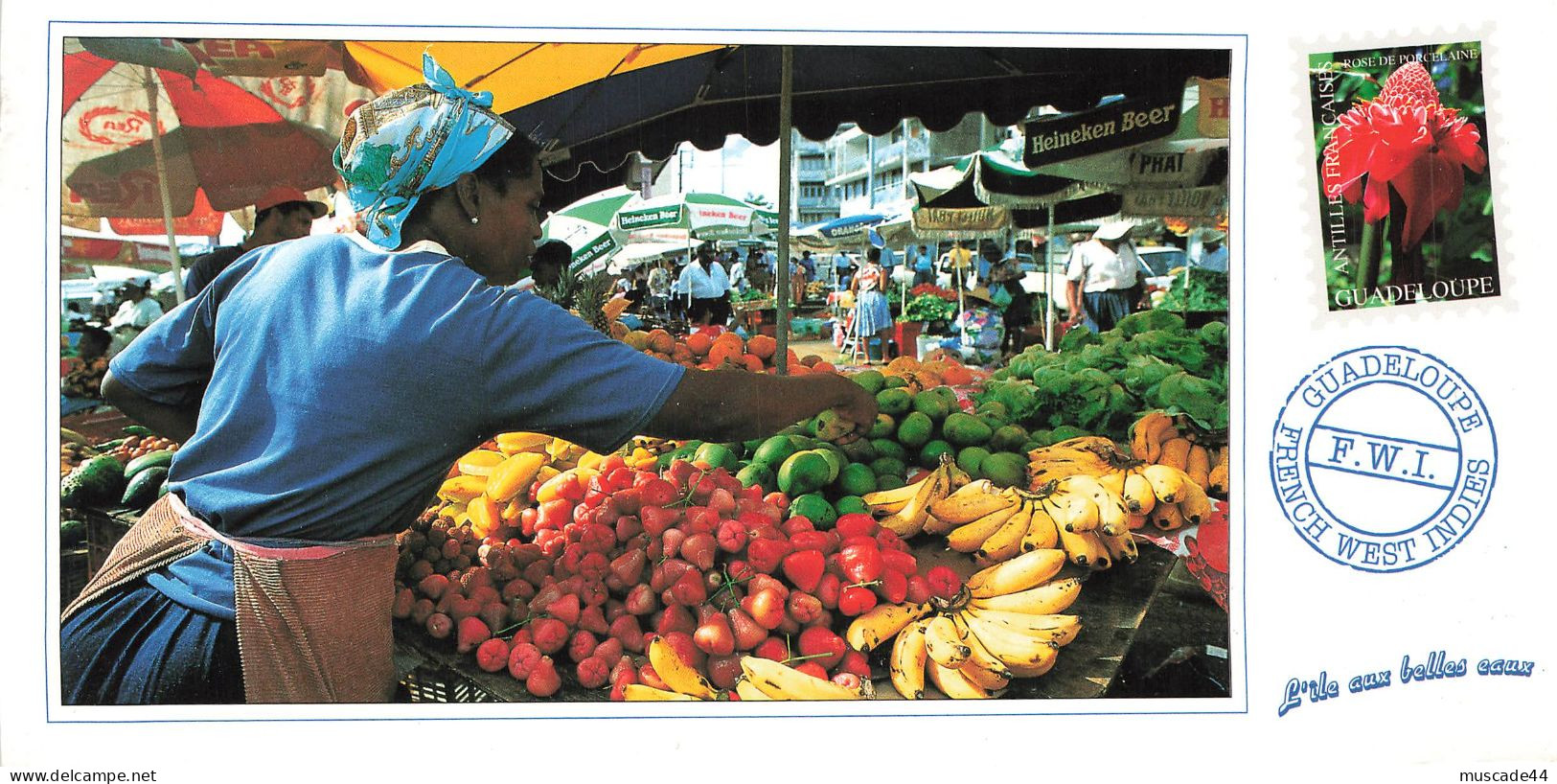 GUADELOUPE - MARCHE AUX FRUITS A BASSE TERRE - Basse Terre