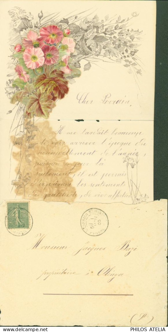 Superbe Papier à Lettre Illustré + Collage Fleurs CAD St Cyprien Pyrénées Orientales 1905 - Ohne Zuordnung