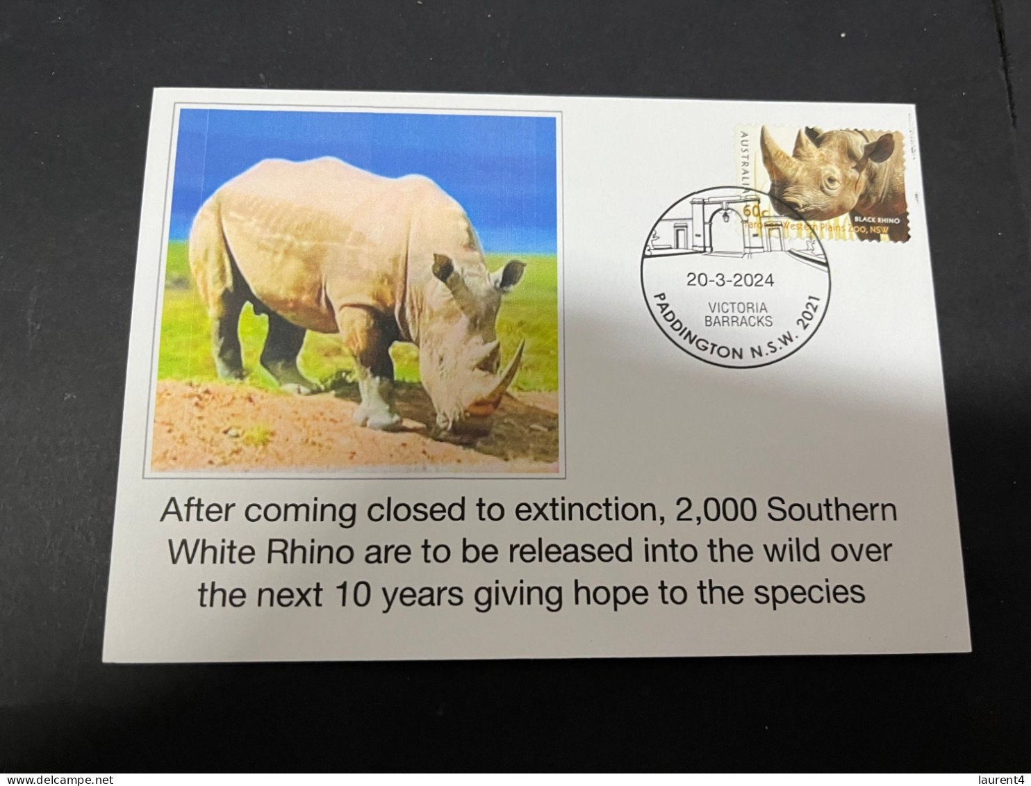 25-9-2023 (2 U 7)  2000 White Rhinoceros To Be Released In The Wild Over 10 Years In Africa - Rhinocéros