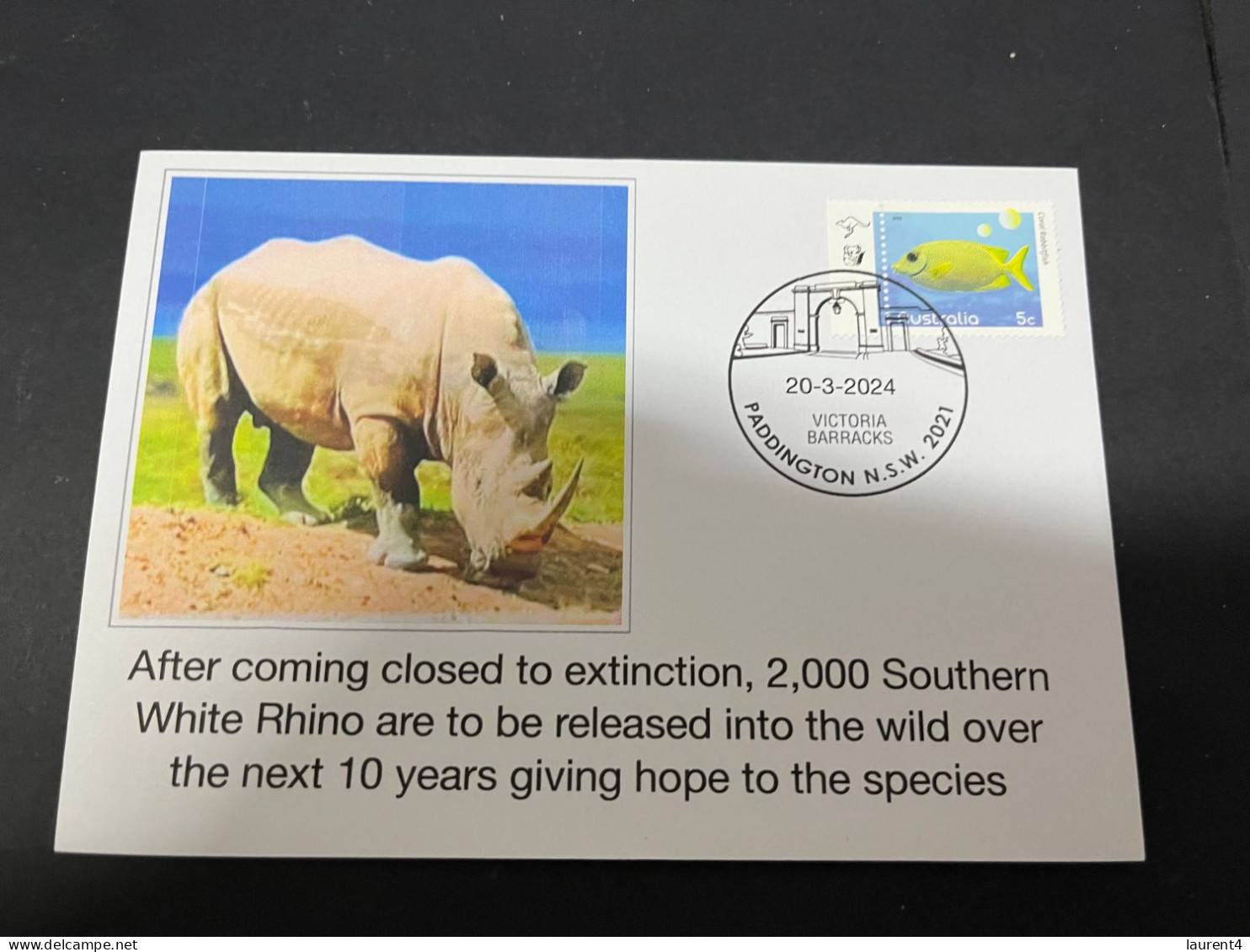 25-9-2023 (2 U 7)  2000 White Rhinoceros To Be Released In The Wild Over 10 Years In Africa - Rinocerontes