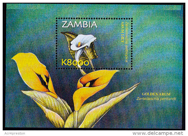 Zm0898a ZAMBIA 2002, SG MS898a Flower, Golden Arum, MNH - Zambie (1965-...)