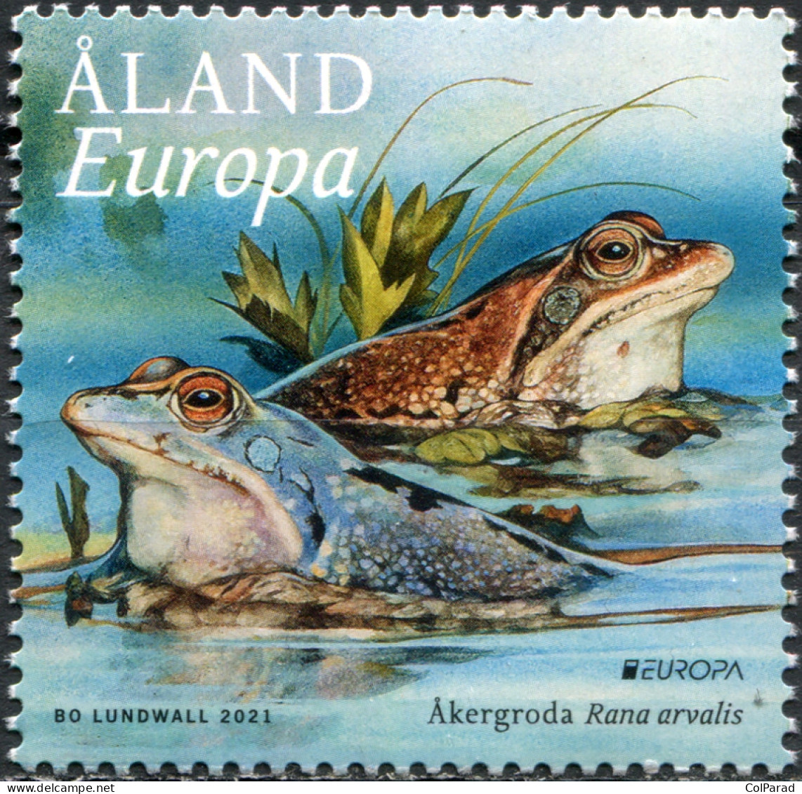 ÅLAND ISLANDS - 2021 - STAMP MNH ** - Moor Frog (Rana Arvalis) - Aland