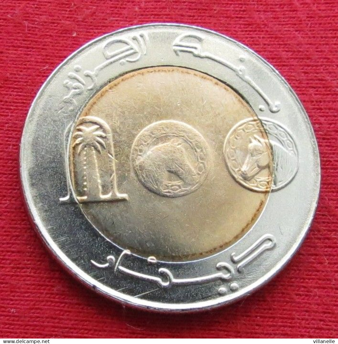 Algeria 100 Dinar 2007 Algérie Algerien Algerije Argelia  W ºº - Argelia