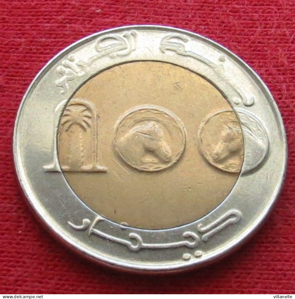 Algeria 100 Dinar 2013 Algérie Algerien Algerije Argelia  W ºº - Algerije