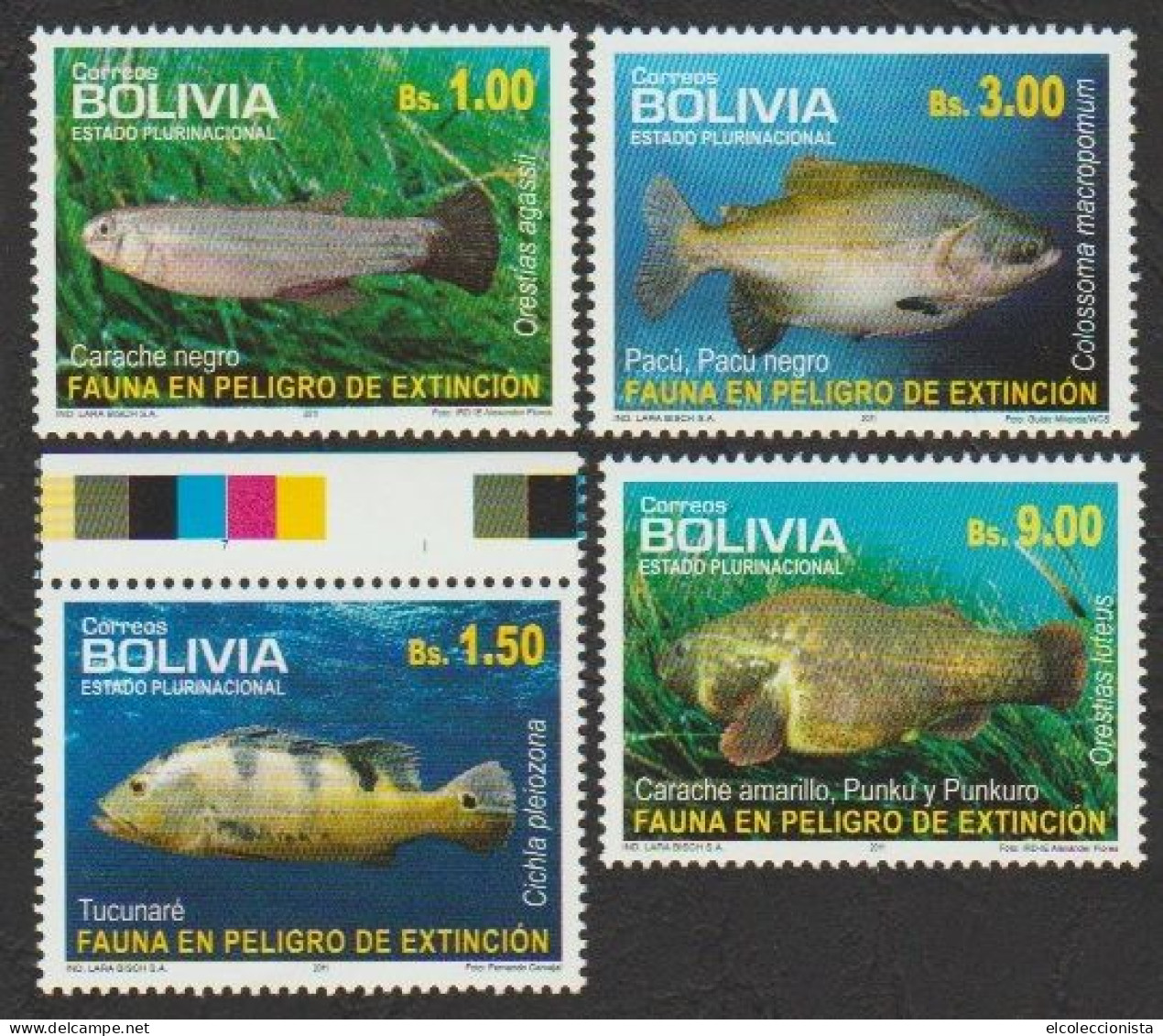 2011 Bolivia Endangered Fishes MNH Scott 1467-1470 - Bolivia