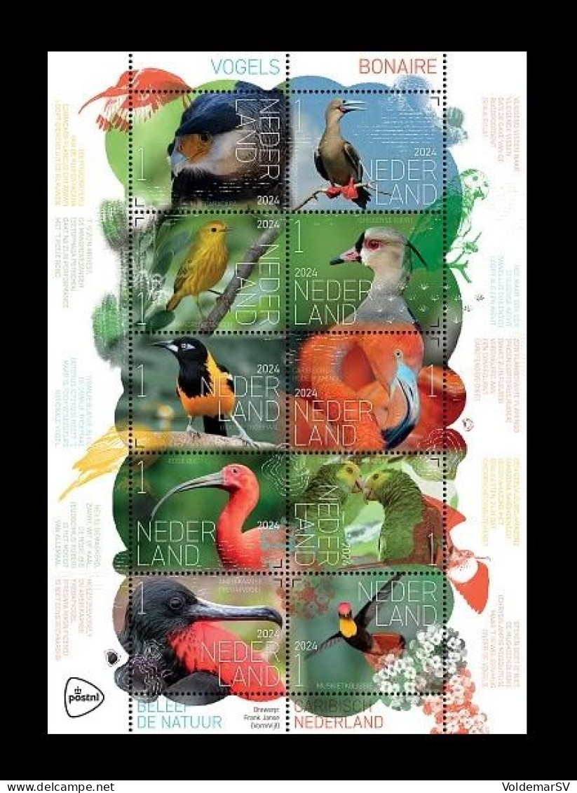 Netherlands 2024 Mih. 4261/70 Experience Nature. Fauna. Birds On Bonaire MNH ** - Nuevos