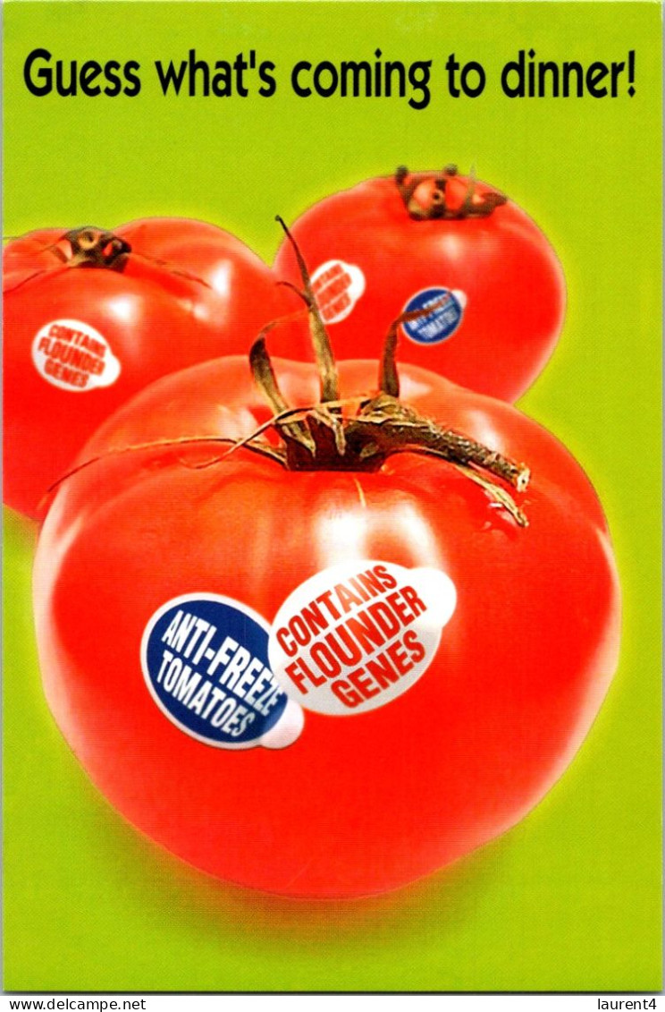 22-3-2024 (3 Y 45) Tomato - Heath Warning - Santé