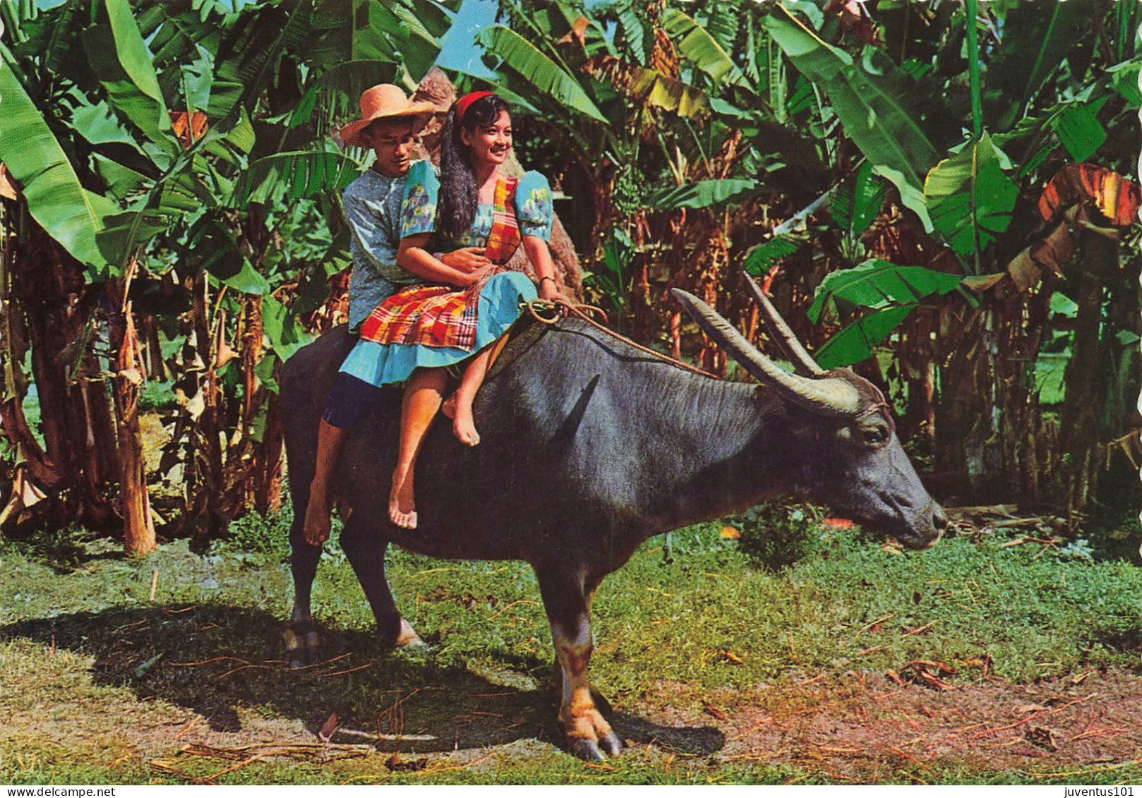 CPSM Carabao-Philippines-Timbre   L2770 - Philippines