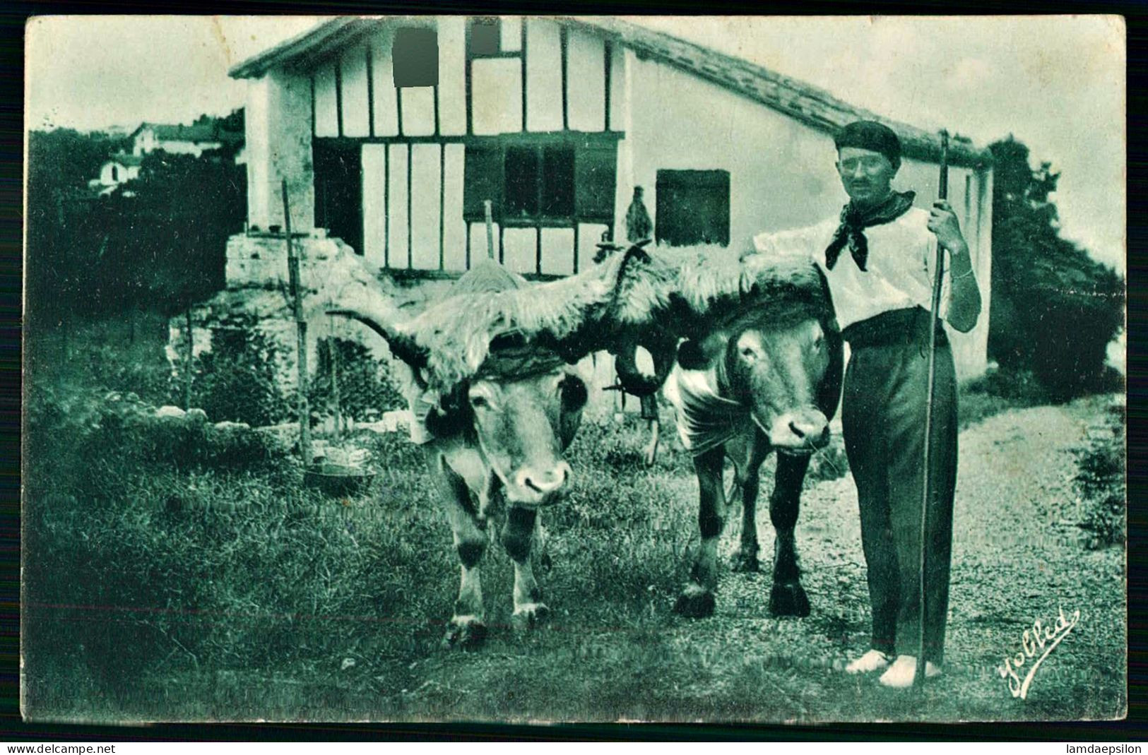 A69  FRANCE CPA GUETHARY - PAYS BASQUE , LES BOEUFS COIFFÉS - Verzamelingen & Kavels