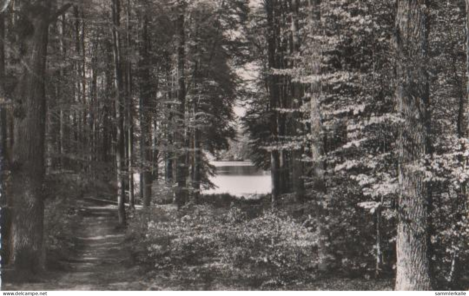 18603 - Eutin - Holst. Schweiz - Durchblick Zum Ukleisee - Ca. 1955 - Eutin