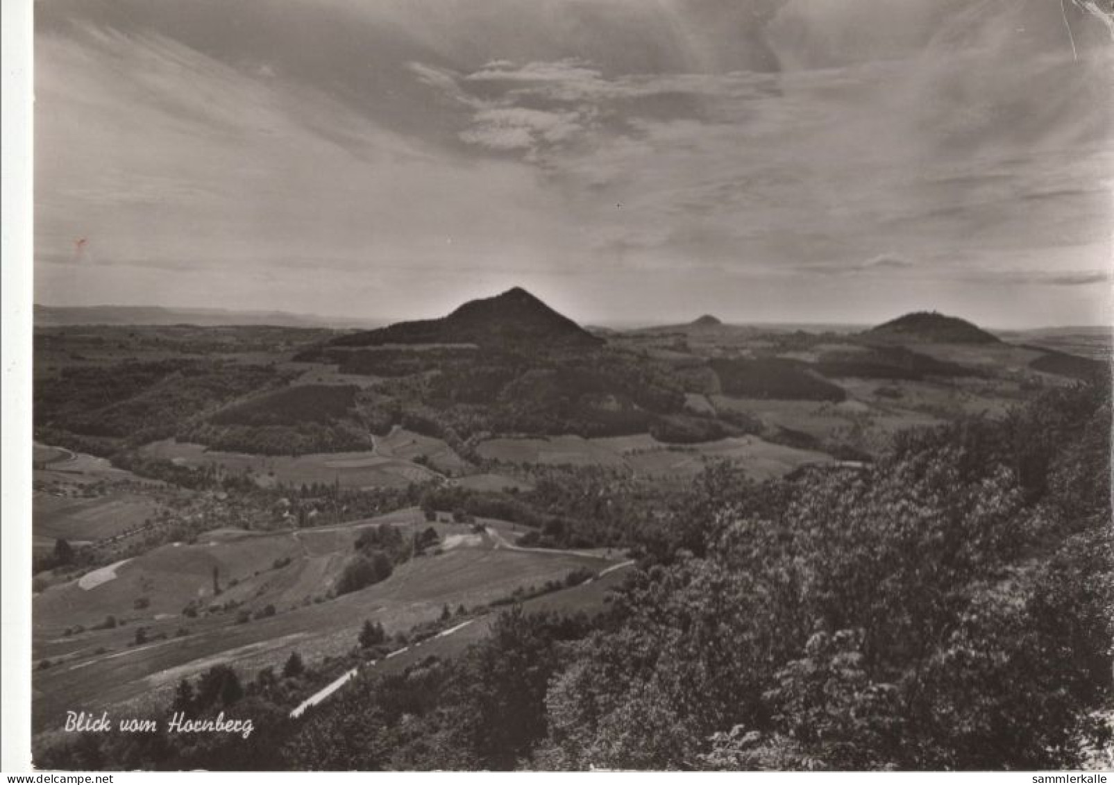 124684 - Hornberg - Panorama - Hornberg