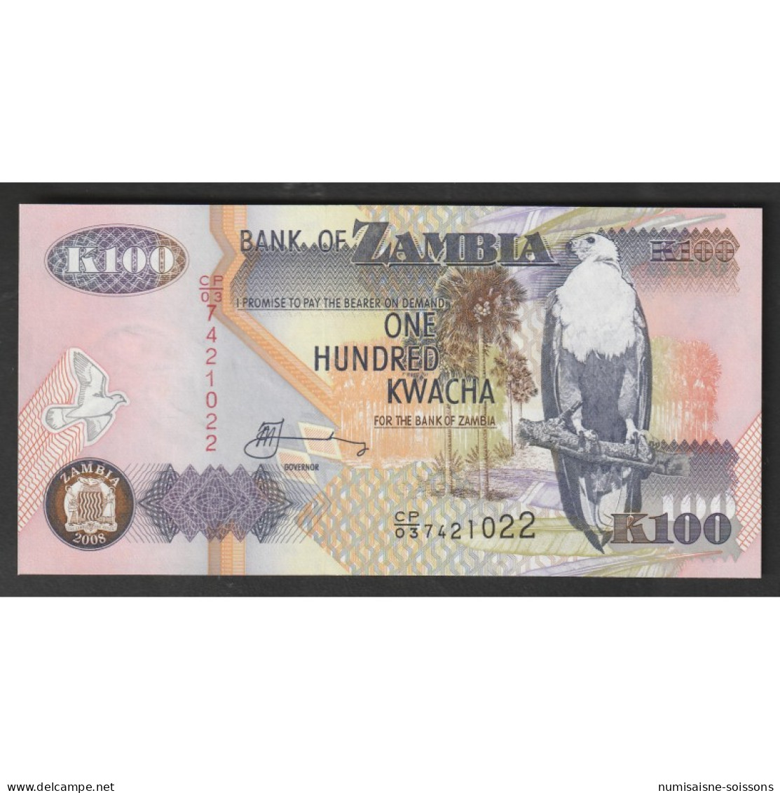 ZAMBIE - PICK 38 G - 100  KWACHA - 2008 - Zambia