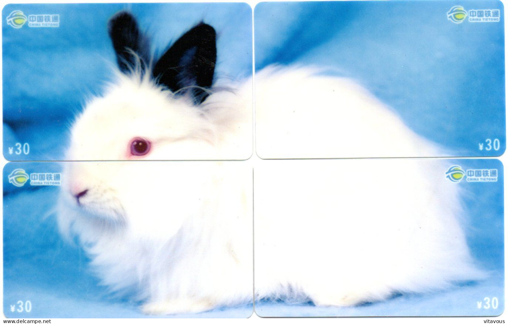 Lapin Animal  Puzzle 4 Télécartes Chine Phonecard (P 74) - Chine