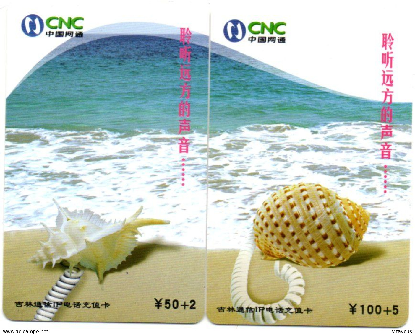 Coquillage Mer  Animal  Puzzle 2 Télécartes Chine Phonecard (P 77) - China