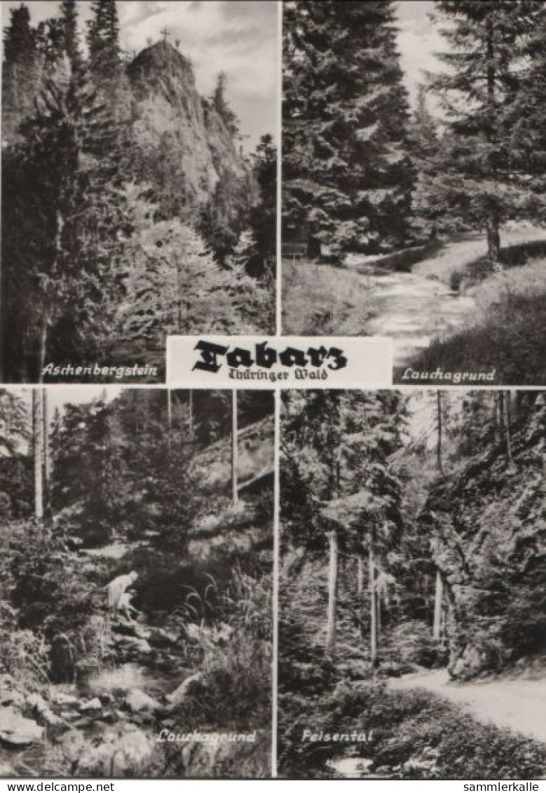 51887 - Tabarz - U.a. Felsental - 1973 - Tabarz