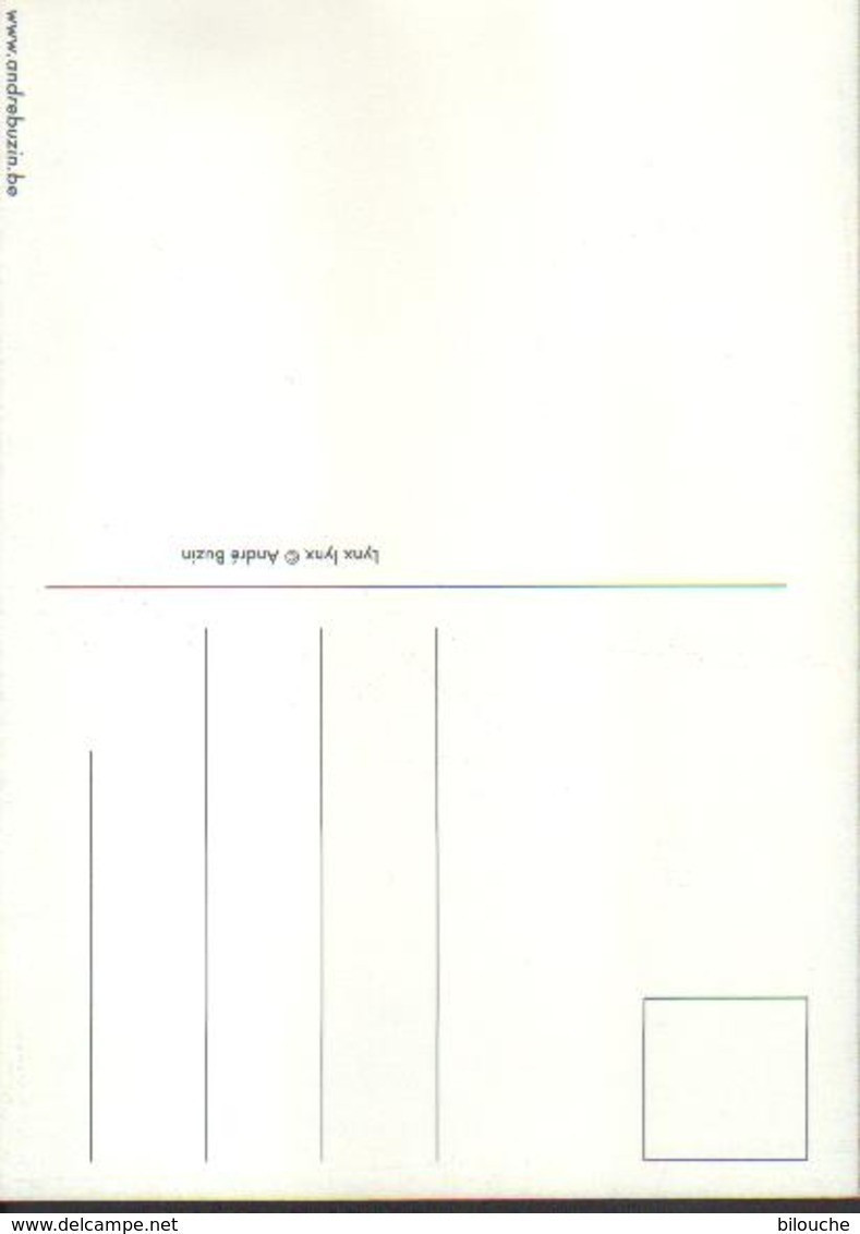 BUZIN / CARTE MAX REPRODUISANT UN TABLEAU / LYNX - 1991-2000