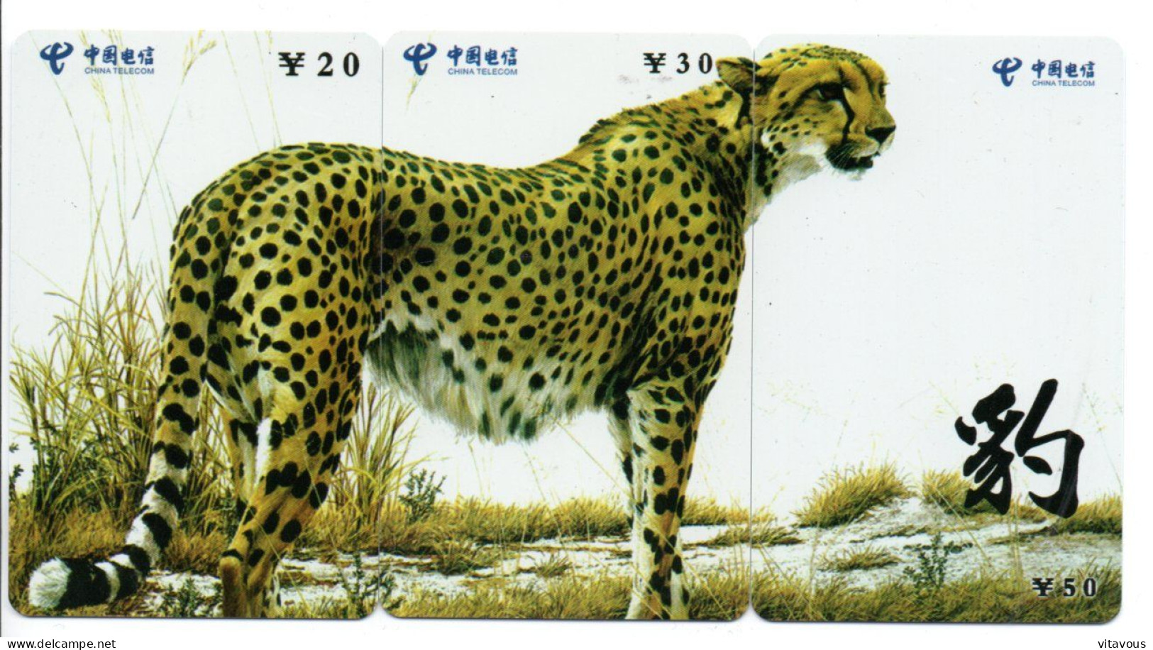 Panthère Animal  Puzzle 3 Télécartes Chine Phonecard (P 80) - China