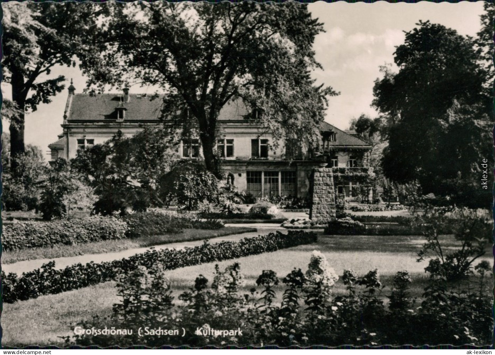 Ansichtskarte Großschönau (Sachsen) Kulturpark 1962 - Grossschönau (Sachsen)