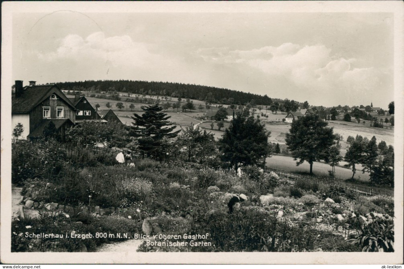 Schellerhau-Altenberg (Erzgebirge) Blick über Den Ort, Botanischer Garten 1937 - Schellerhau