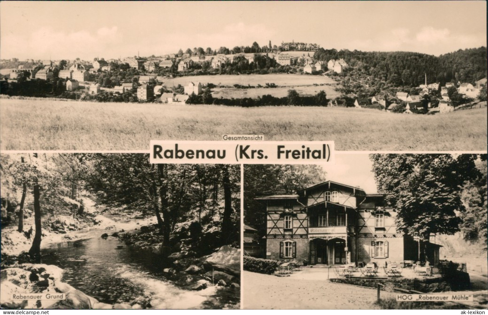 Ansichtskarte Rabenau Panorama, Rabenauer Grund, HOG Rabenauer Mühle 1960 - Rabenau