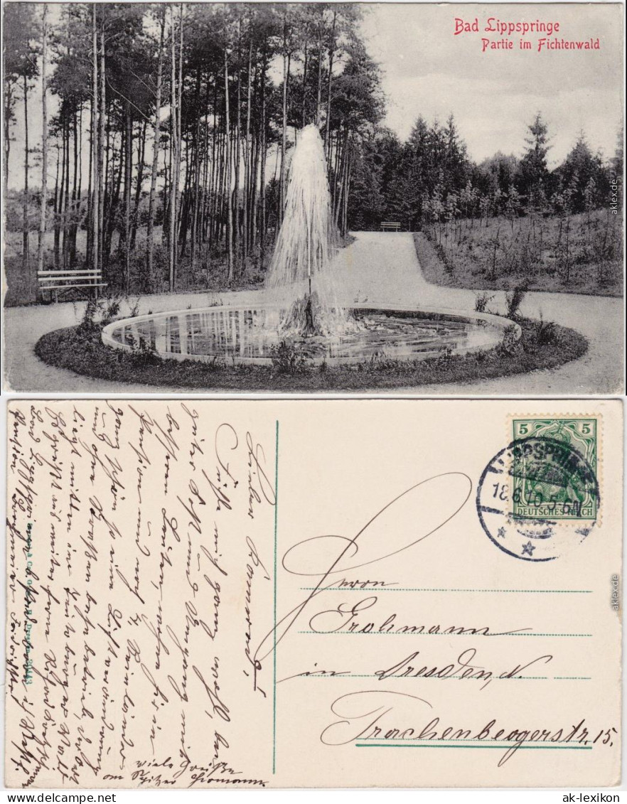 Bad Lippspringe Partie Im Fichtenwald Mit Springbrunnen 1910  - Bad Lippspringe