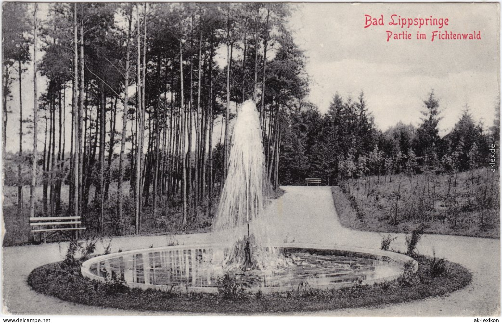 Bad Lippspringe Partie Im Fichtenwald Mit Springbrunnen 1910  - Bad Lippspringe