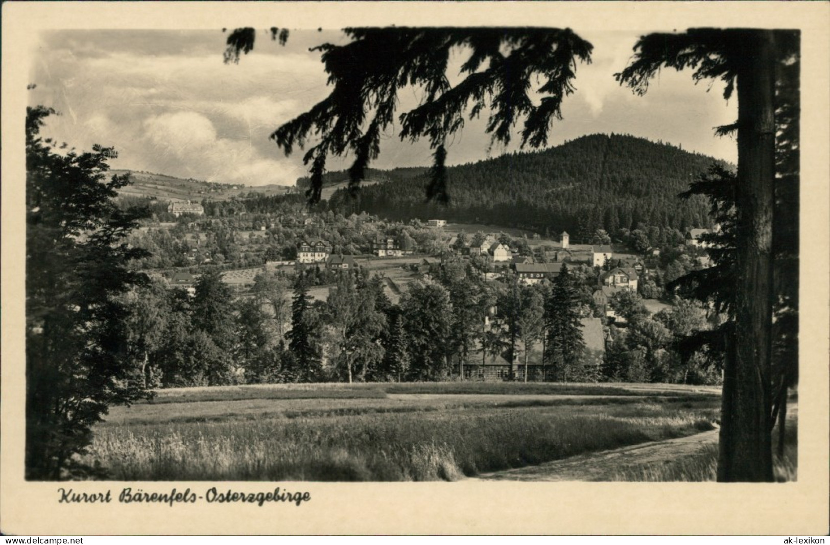 Bärenfels (Erzgebirge)-Altenberg (Erzgebirge) Blick Auf Den Ort 1955 - Altenberg