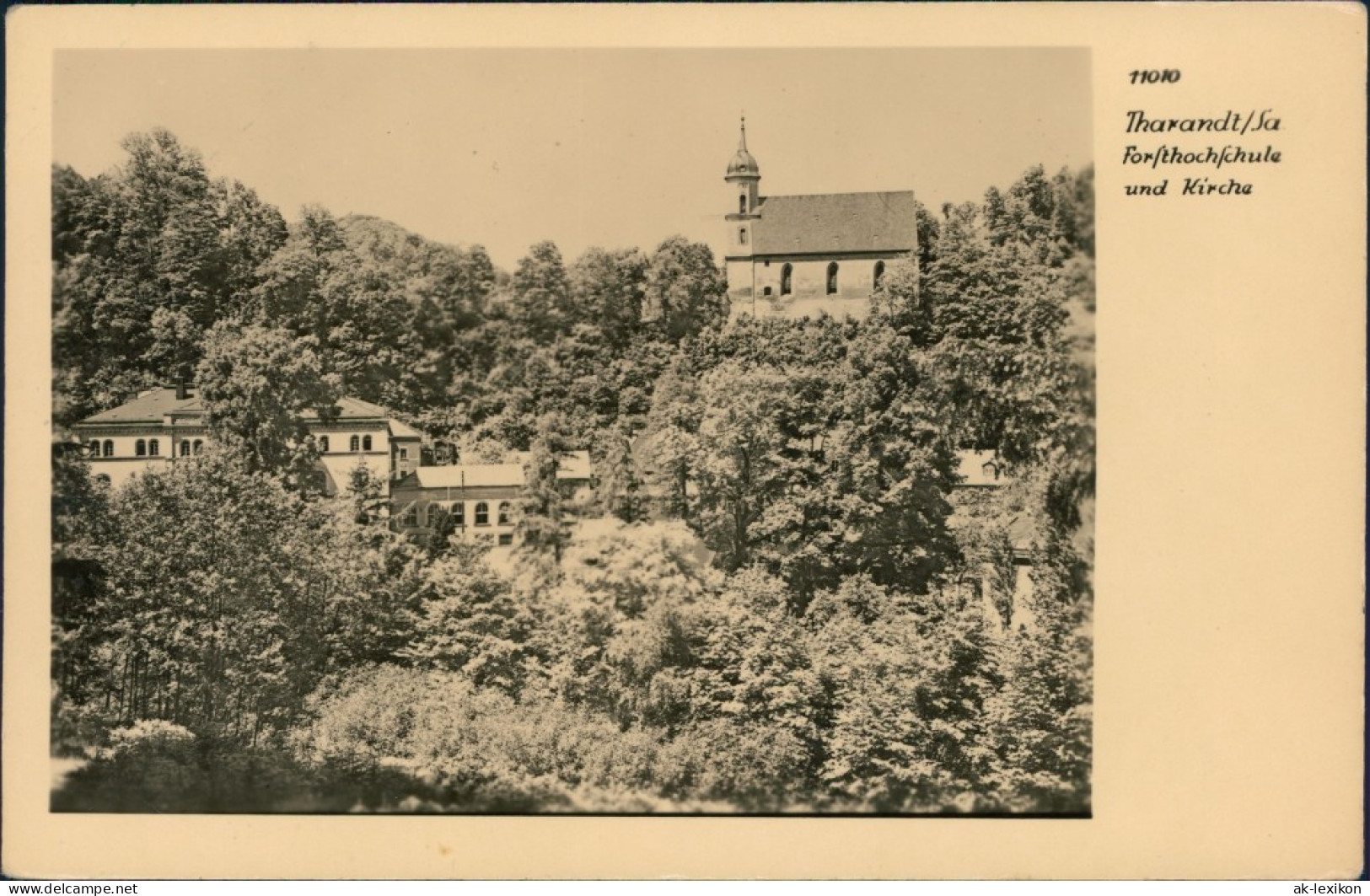 Ansichtskarte Tharandt Forsthochschule Und Kirche 1954 - Tharandt