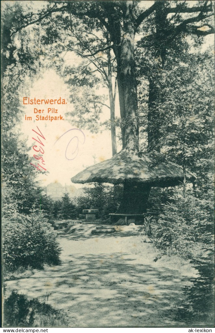 Ansichtskarte Elsterwerda Wikow Stadtpark - Der Pilz 1913  - Elsterwerda