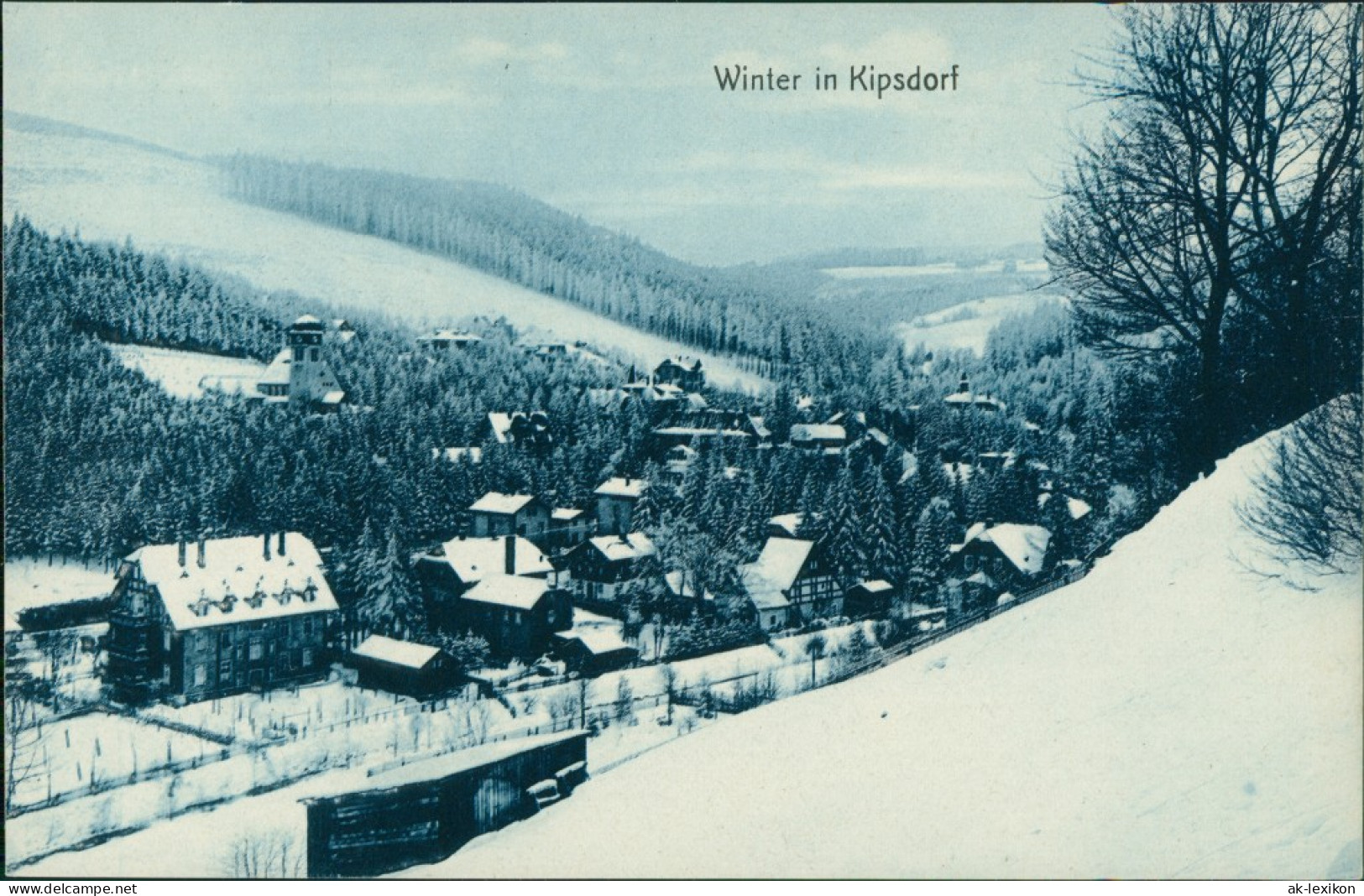 Ansichtskarte Kipsdorf-Altenberg (Erzgebirge) Winterpartie 1913  - Kipsdorf