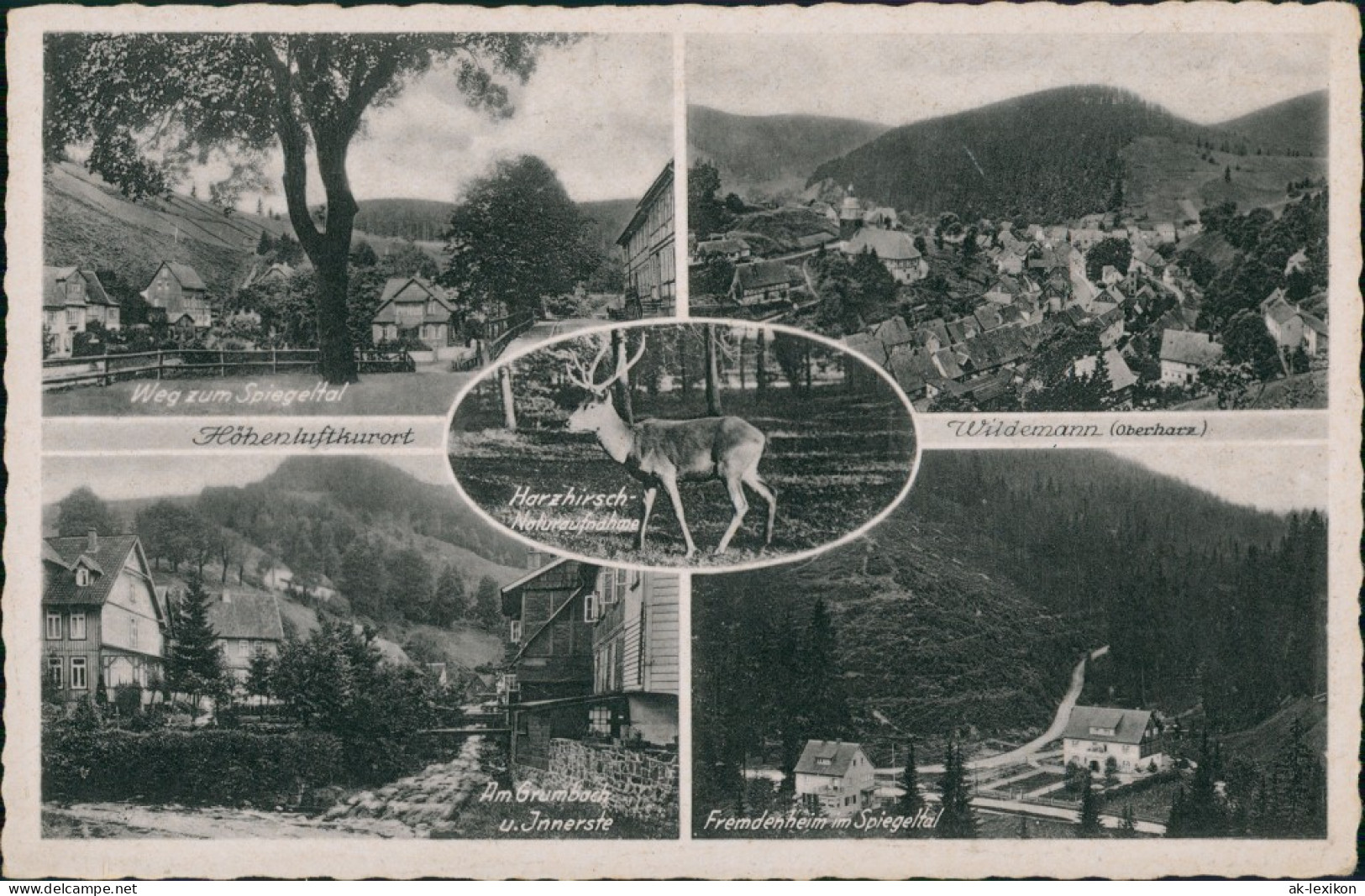 Wildemann (Innerstetal) Mehrbild-AK Spiegeltal, Am Grumbac Fremdenheim 1950 - Wildemann