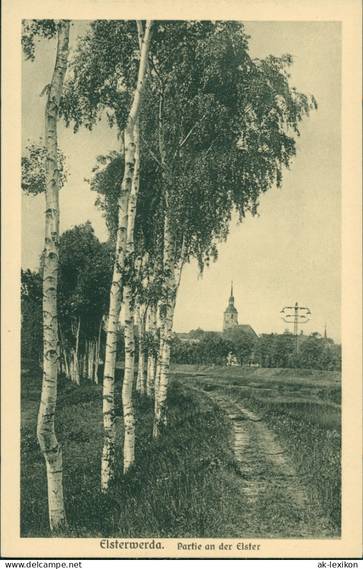 Ansichtskarte Elsterwerda Wikow Birkenweg, Elster - Kirche 1919  - Elsterwerda