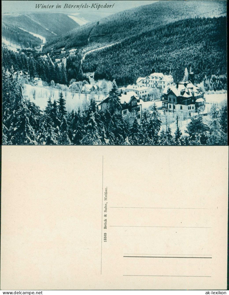 Bärenfels (Erzgebirge)-Altenberg   Blick Auf Die Stadt Im Winter 1914 - Altenberg