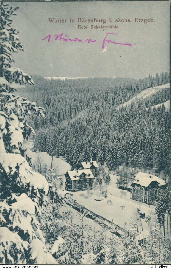 Oberbärenburg-Altenberg (Erzgebirge) Winterpartie Hotel Schäfermühle 1912  - Altenberg