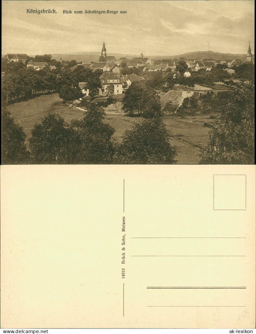 Ansichtskarte Königsbrück Kinspork Blick Vom Scheibigen Berge Aus 1913  - Königsbrück
