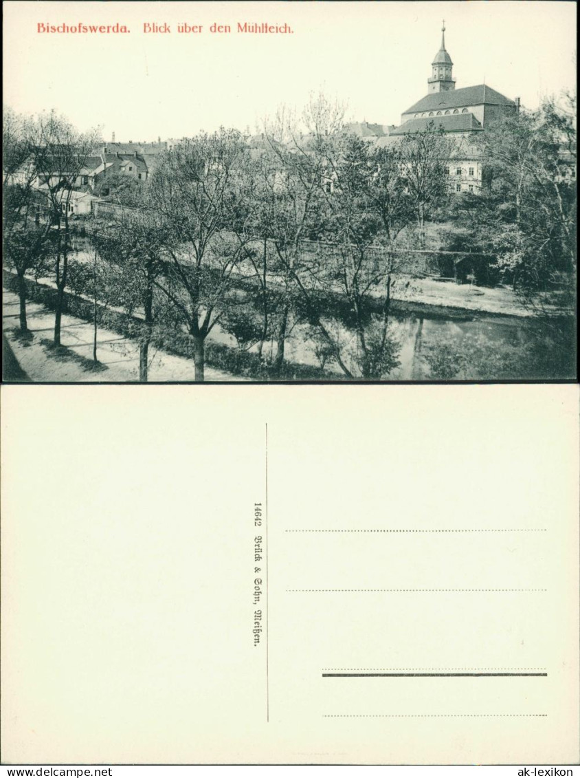 Ansichtskarte Bischofswerda Blick über Den Mühlteich 1912  - Bischofswerda