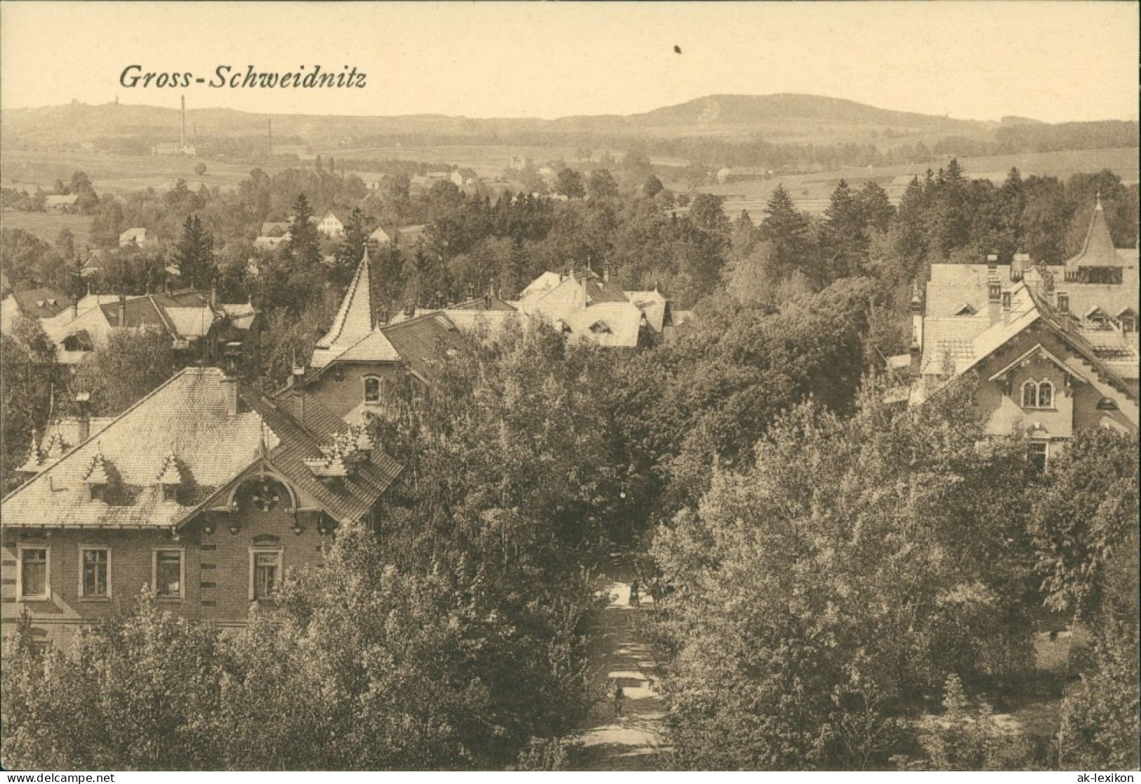 Ansichtskarte Großschweidnitz/OL Swóńca Blick In Die Straße 1913  - Grossschweidnitz