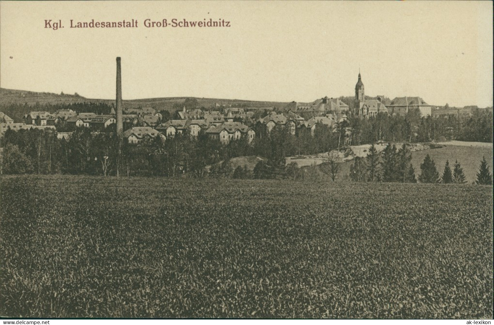 Großschweidnitz (OL) Swóńca Blick Auf Stadt, Landesanstalt 1913  - Grossschweidnitz