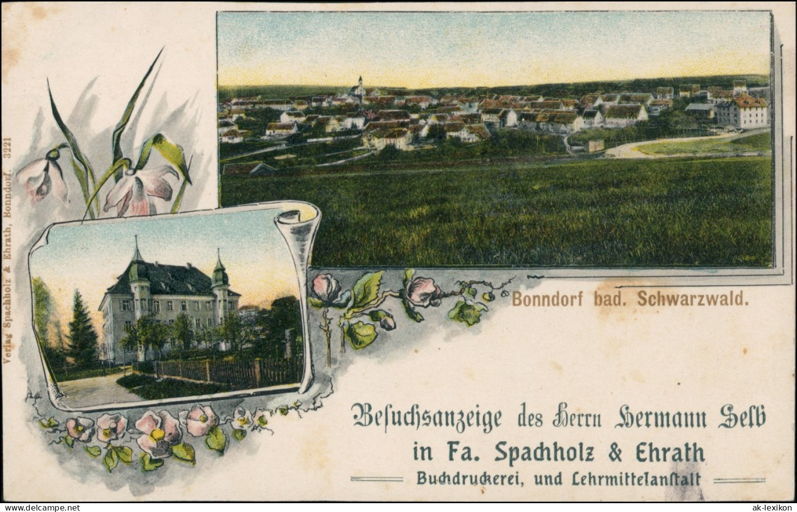 Ansichtskarte Bonndorf (Schwarzwald) 2 Bild: Totale, Gebäude 1913 - Bonndorf