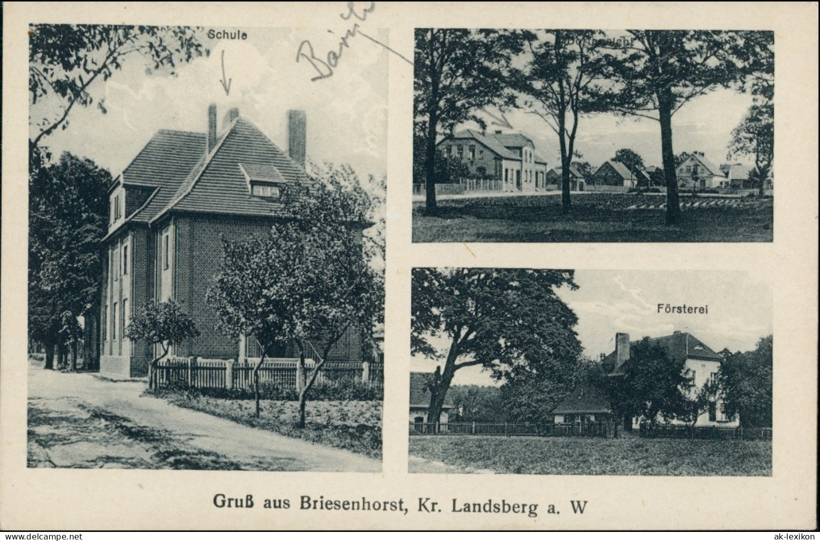 Briesenhorst Wąbrzeźno Schule, Försterei Gorzów   Landsberg An Der Warthe  1924 - Neumark