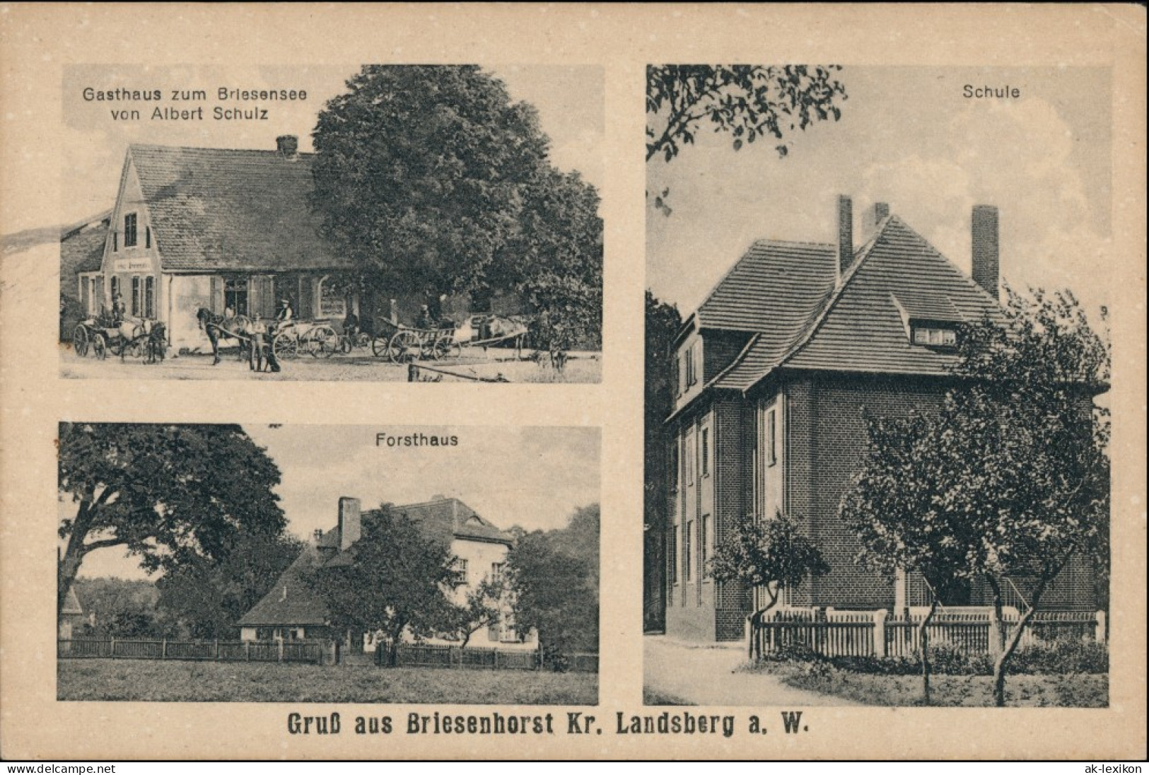 Briesenhorst Wąbrzeźno Gasthaus, Schule, Straße Gorzów   Landsberg Warthe 1924 - Neumark