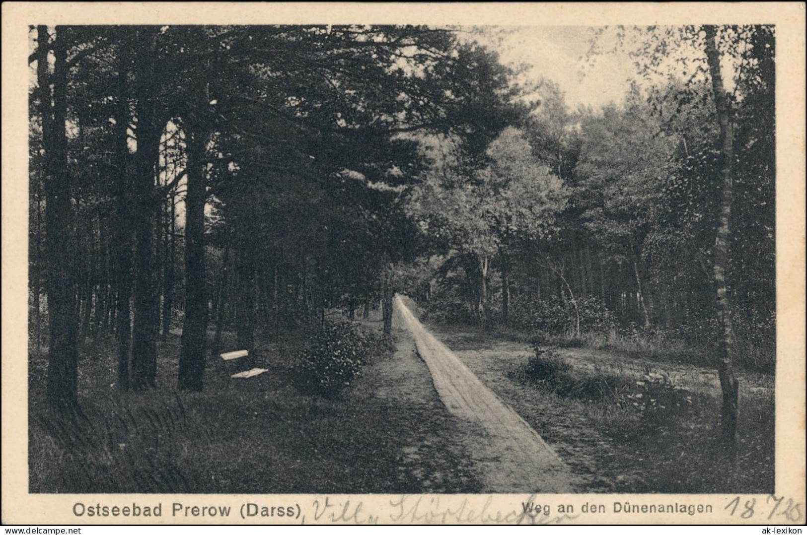 Ansichtskarte Prerow Weg An Den Dünenanlagen 1928 - Seebad Prerow